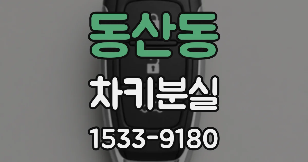 동산동 차키분실