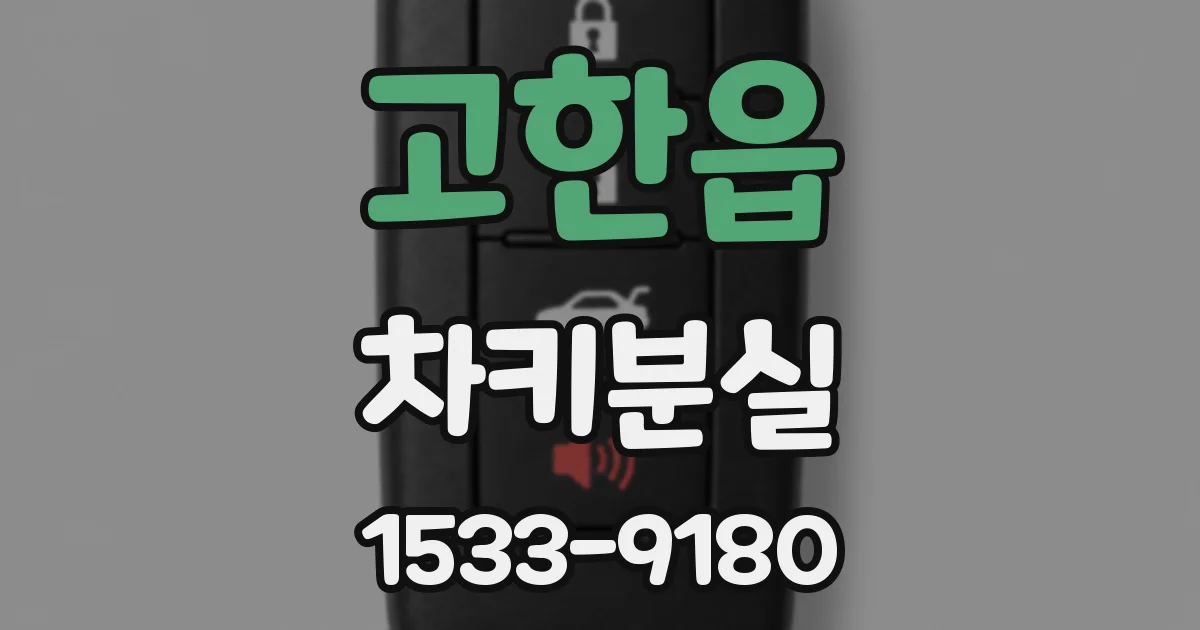 고한읍 차키분실