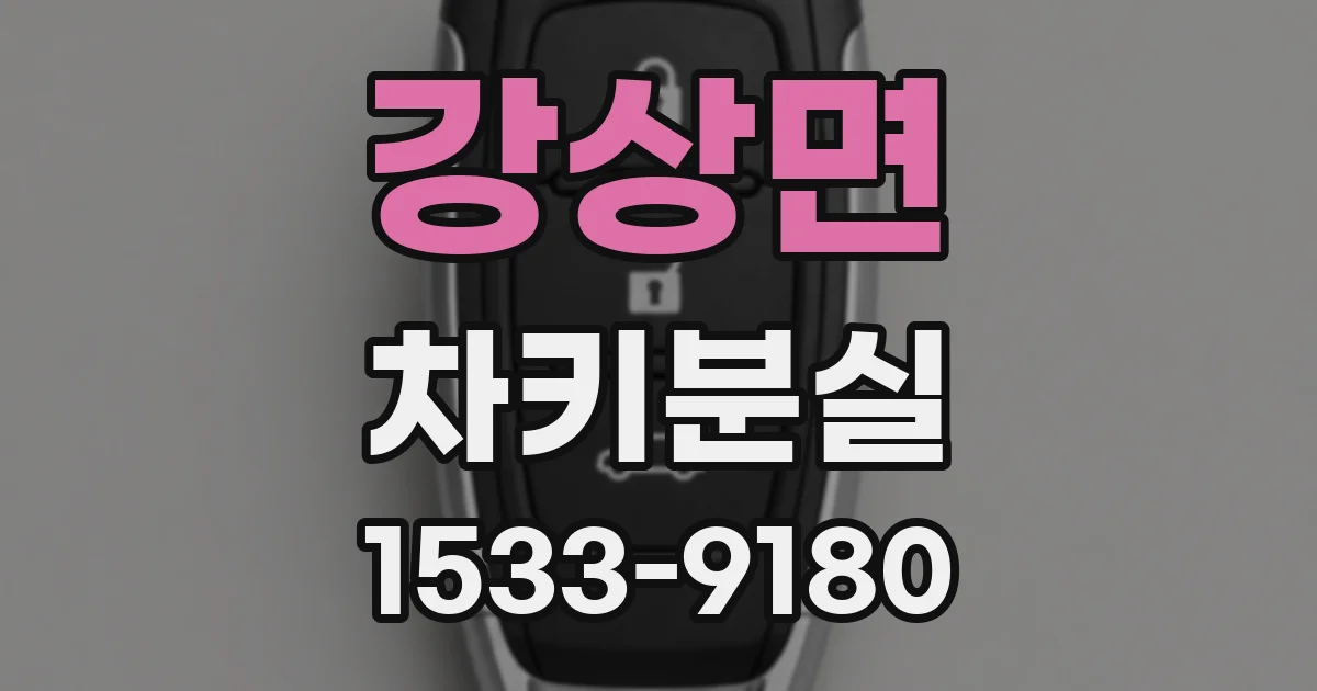 강상면 차키분실