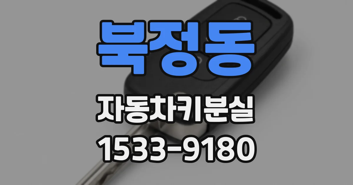 북정동 자동차키분실