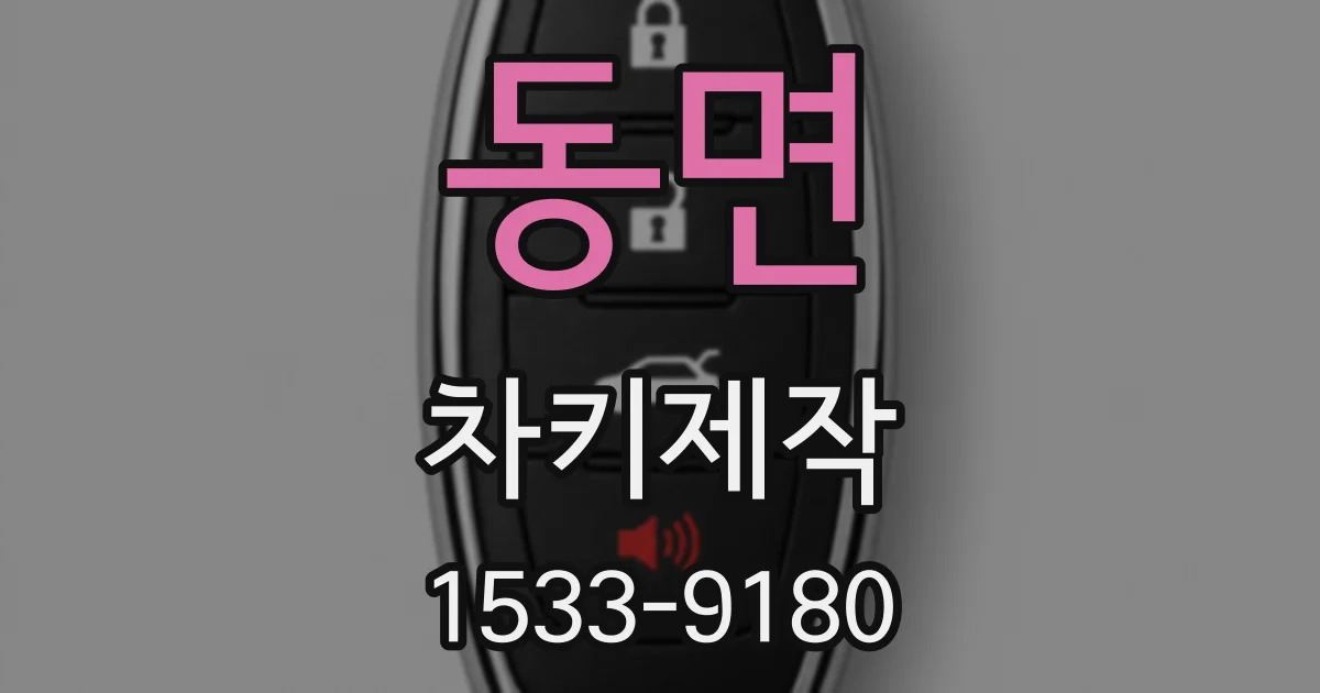 동면 차키제작