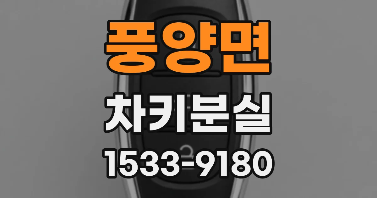 풍양면 차키분실