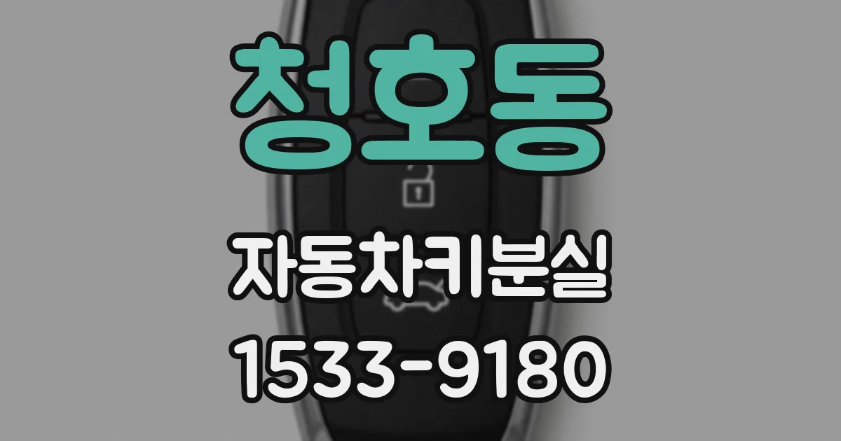 청호동 자동차키분실