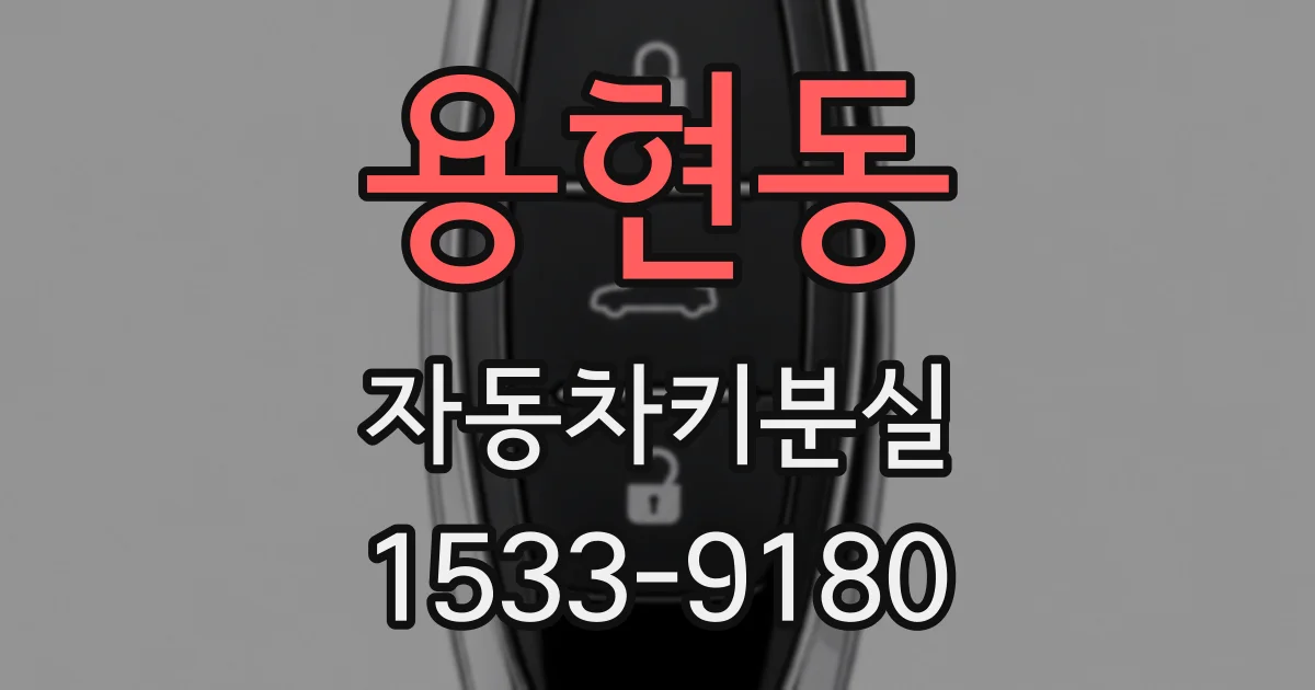 용현동 자동차키분실