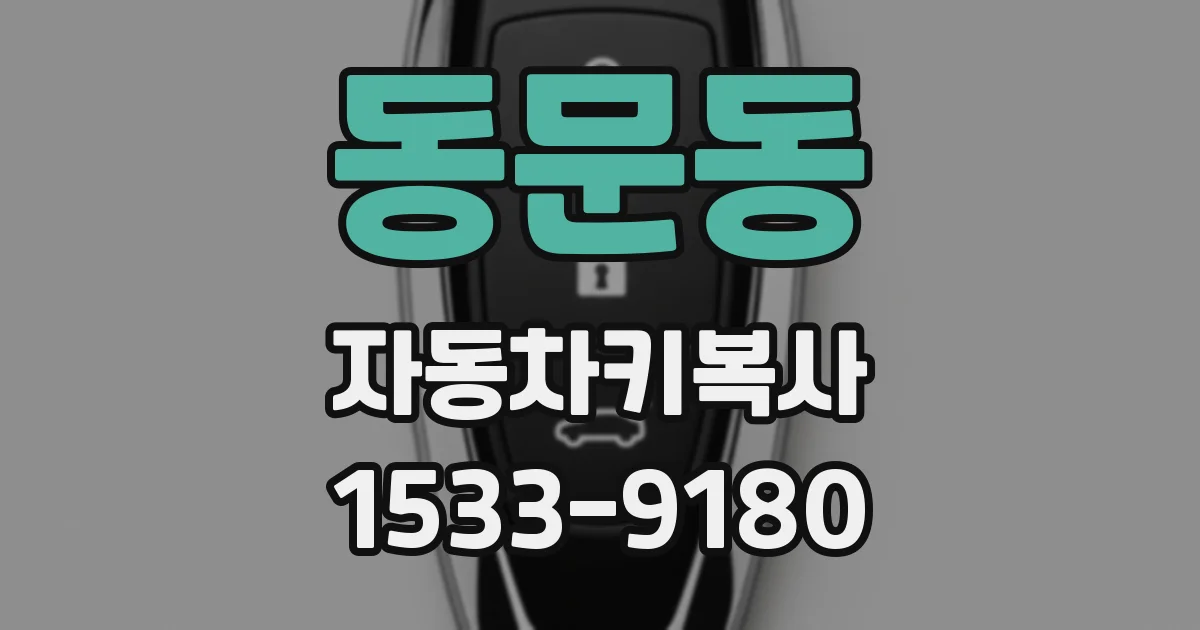 동문동 자동차키복사