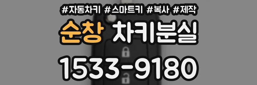 순창 차키분실