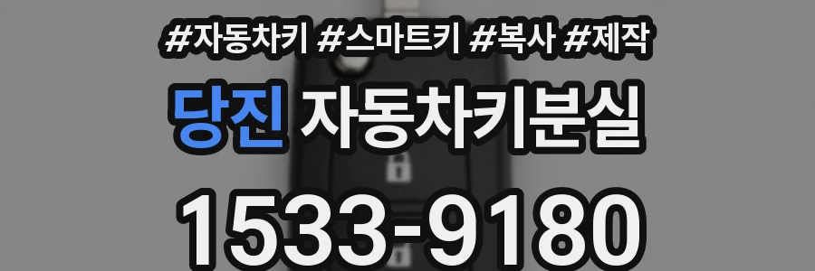 당진 자동차키분실