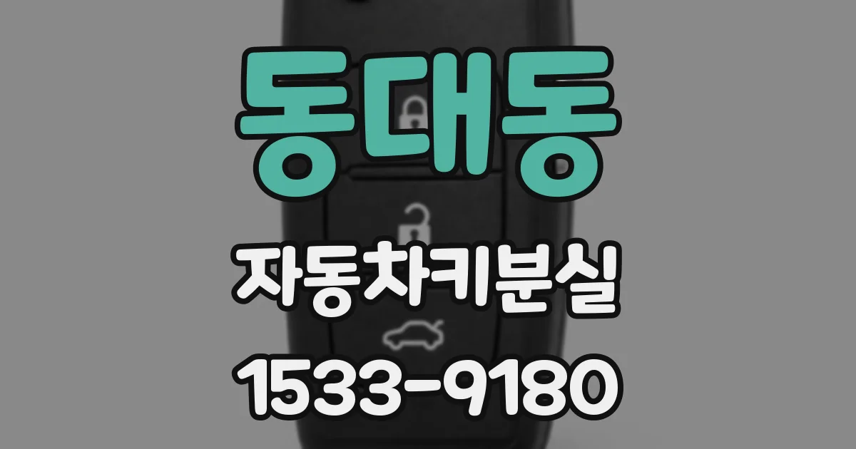 동대동 자동차키분실