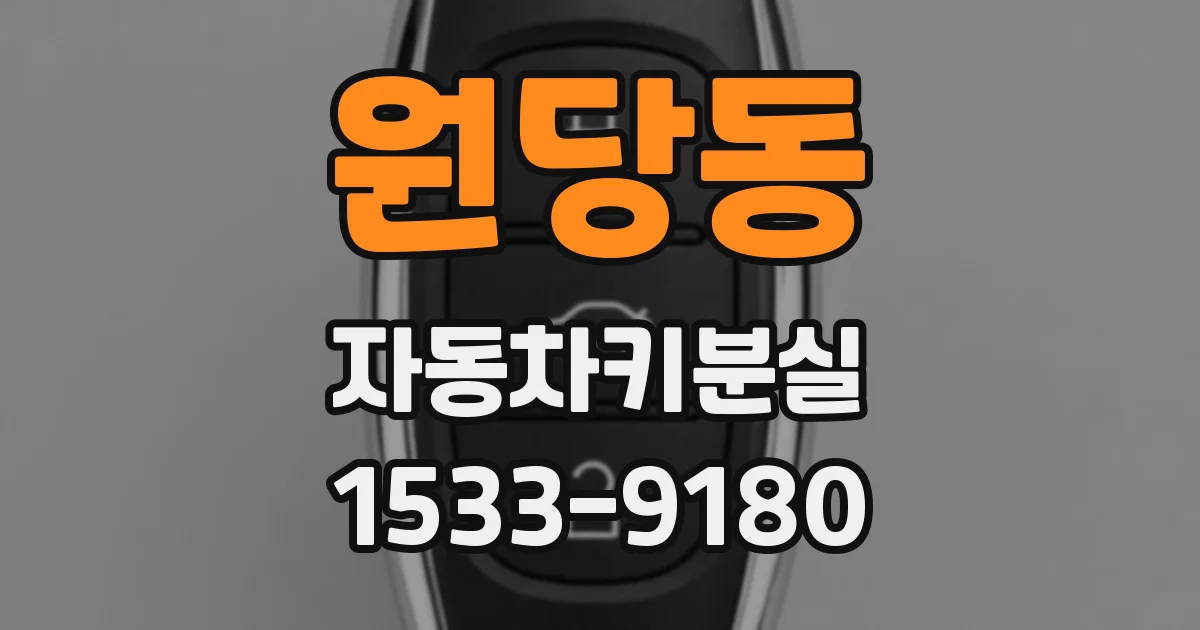 원당동 자동차키분실