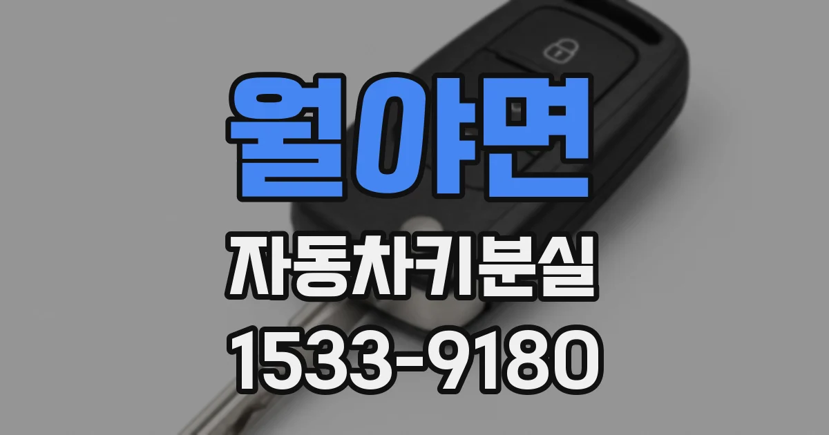 월야면 자동차키분실
