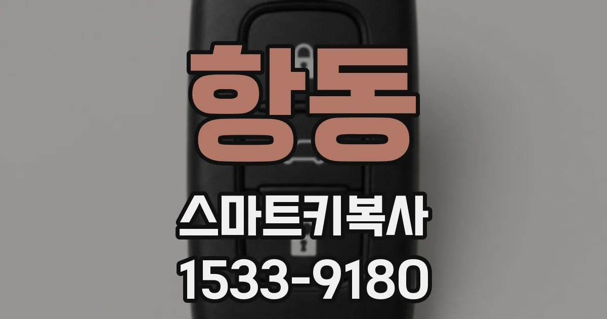 항동 스마트키복사