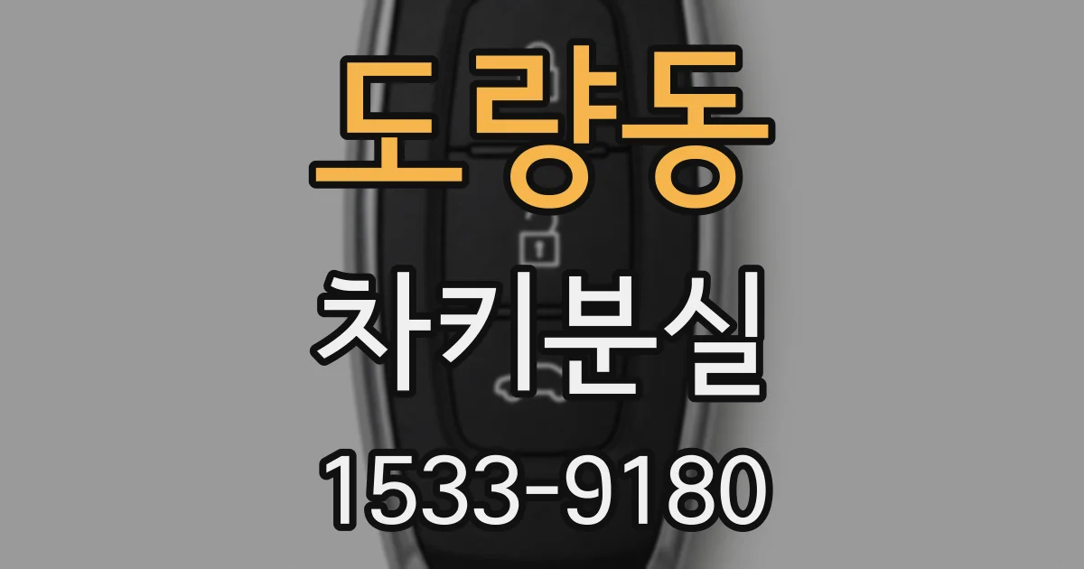 도량동 차키분실