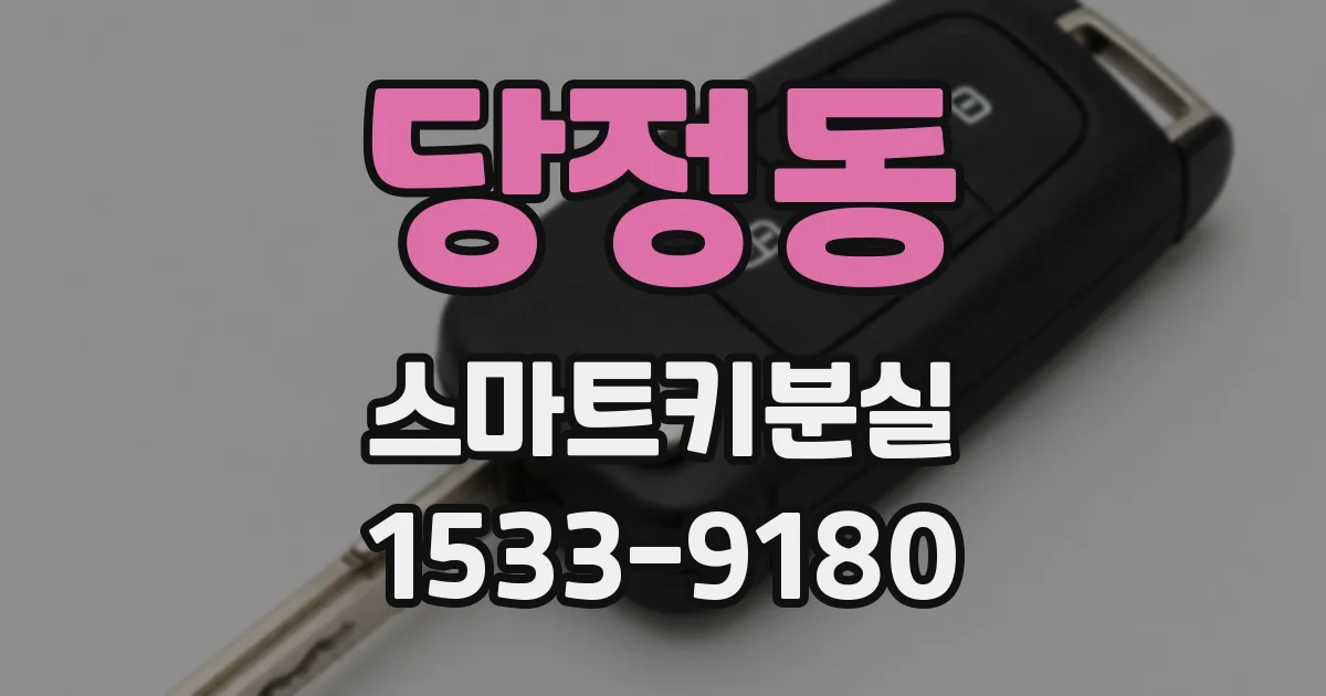 당정동 스마트키분실