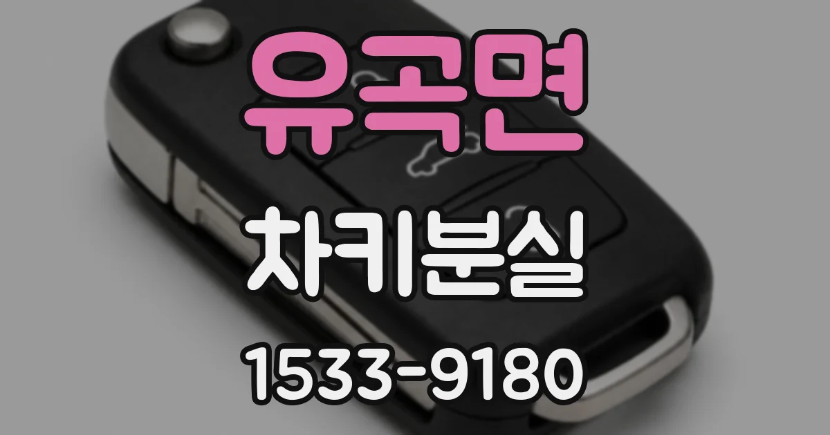 유곡면 차키분실
