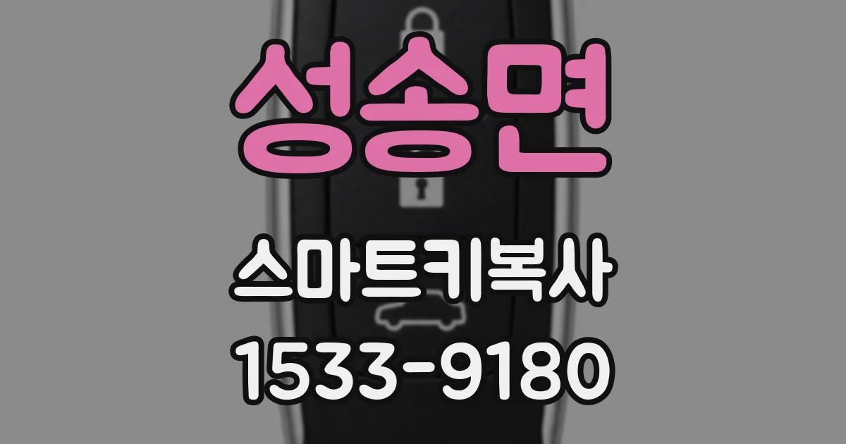 성송면 스마트키복사