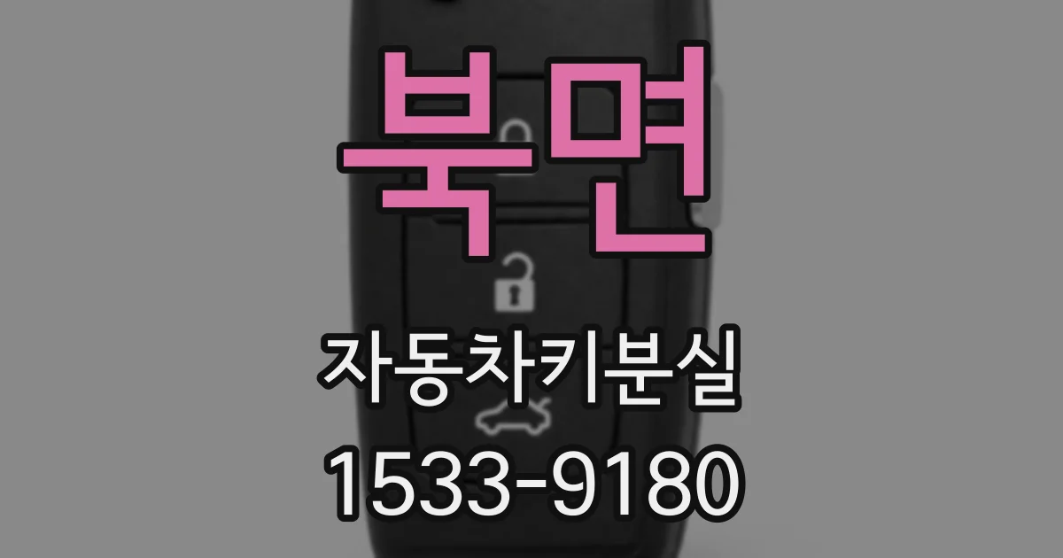 북면 자동차키분실