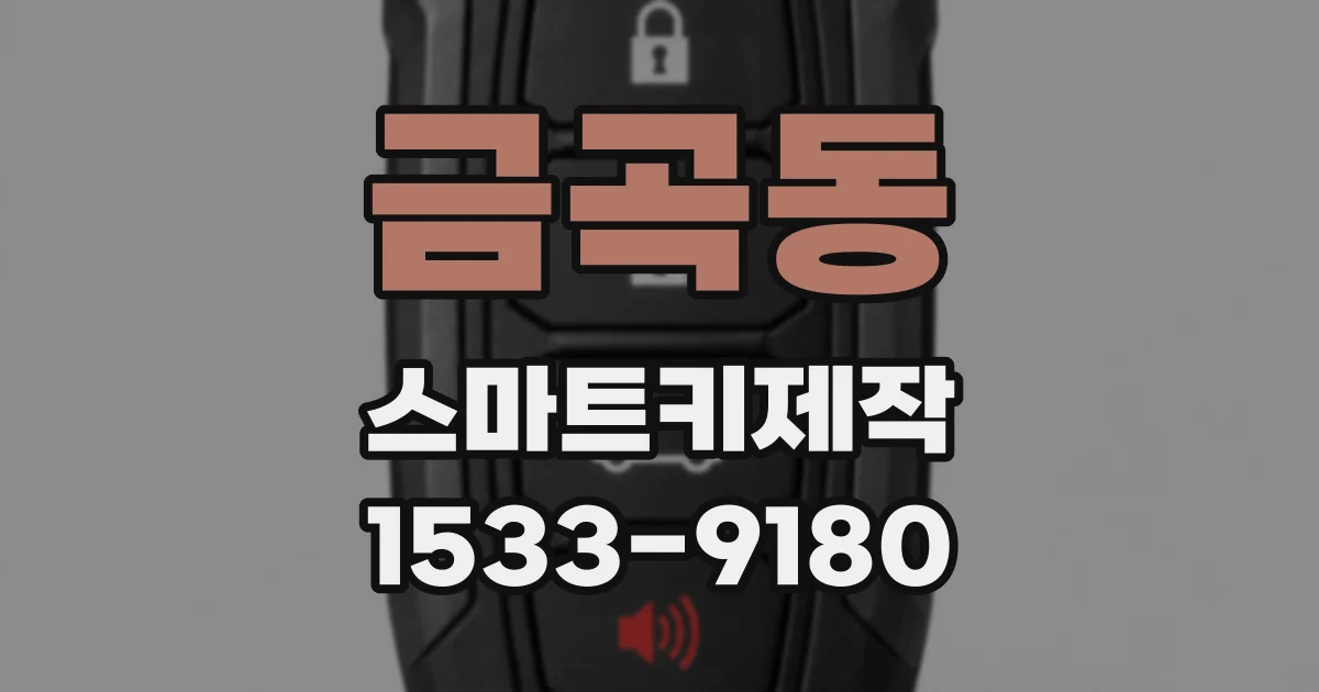 금곡동 스마트키제작