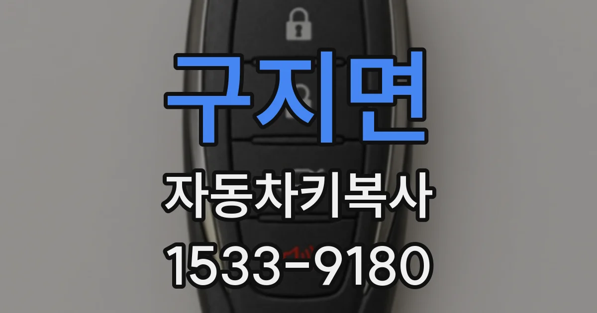 구지면 자동차키복사