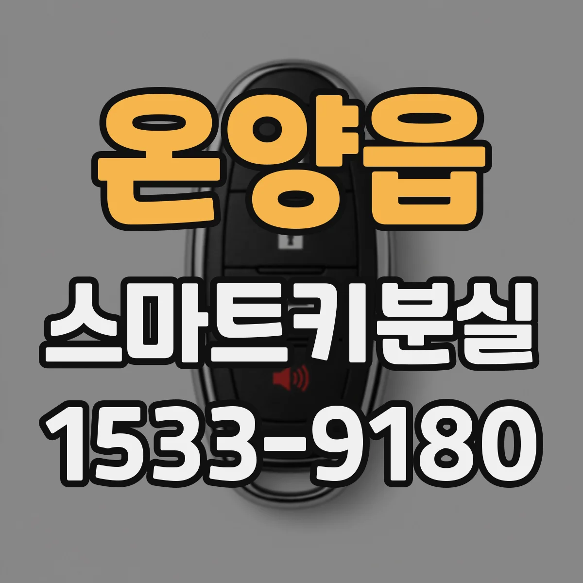 온양읍 스마트키분실