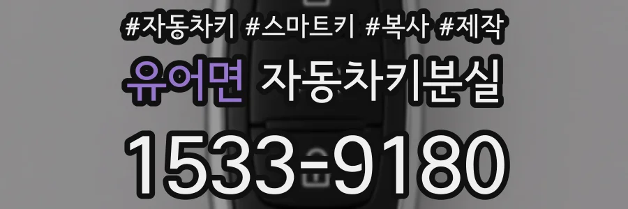 유어면 자동차키분실