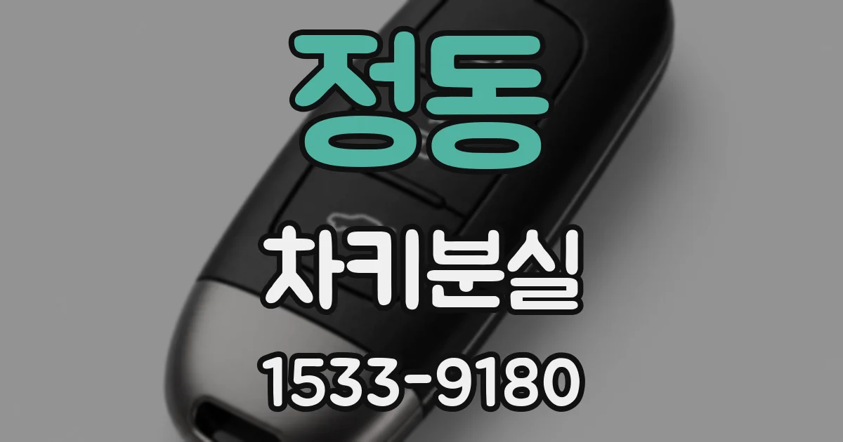 정동 차키분실