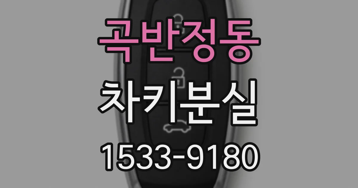 곡반정동 차키분실