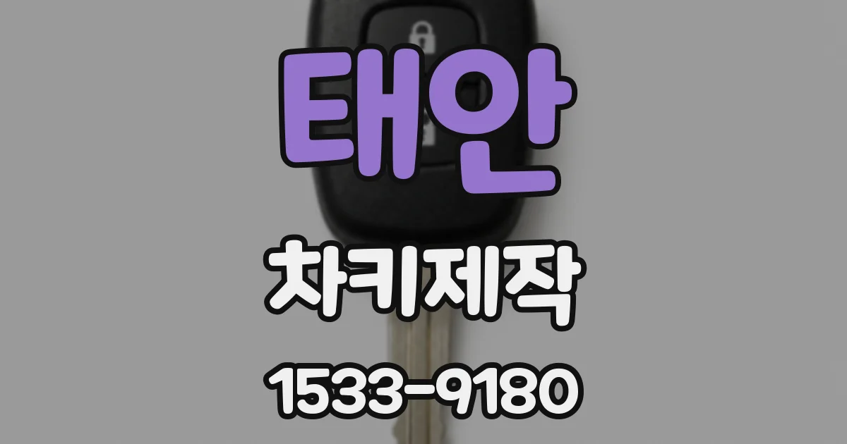 태안 차키제작