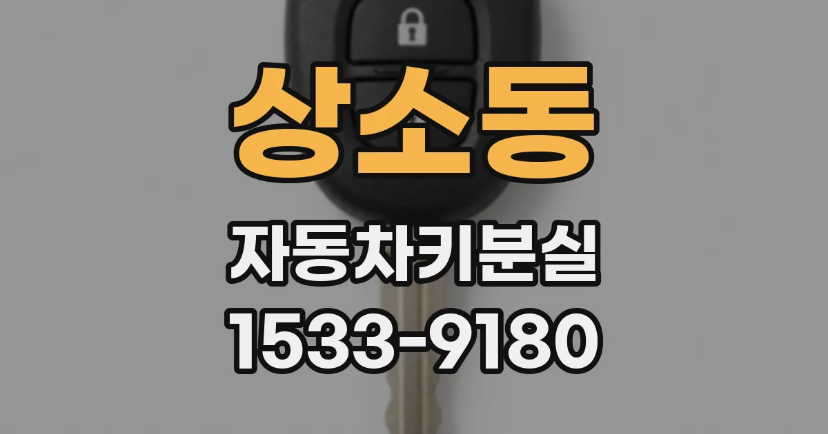 상소동 자동차키분실