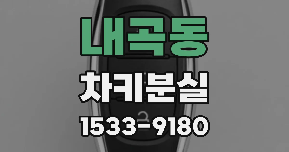 내곡동 차키분실