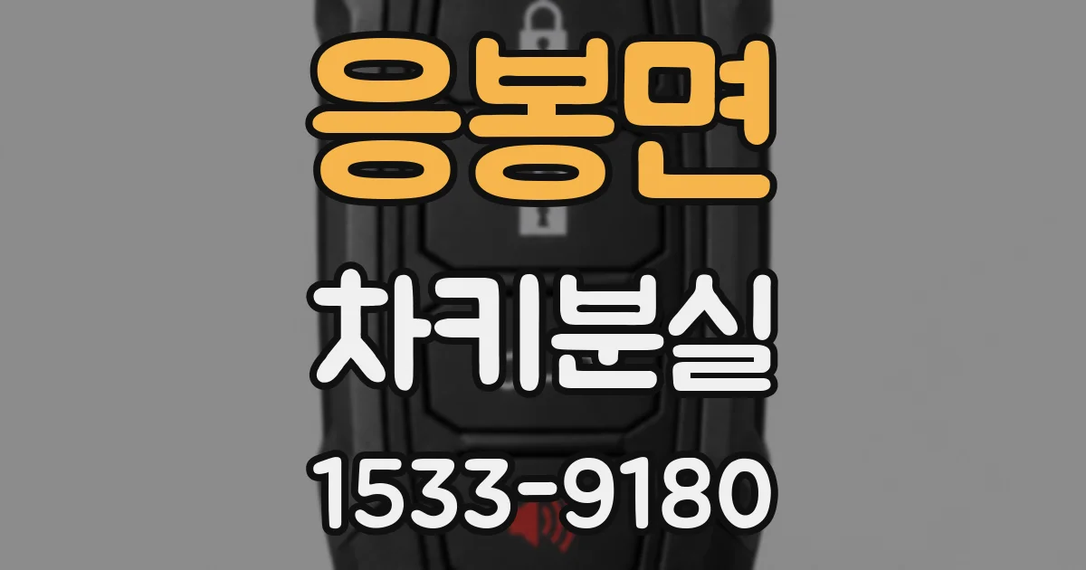 응봉면 차키분실