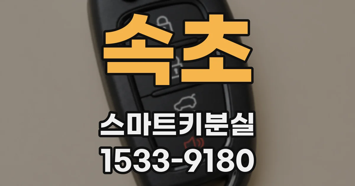 속초 스마트키분실