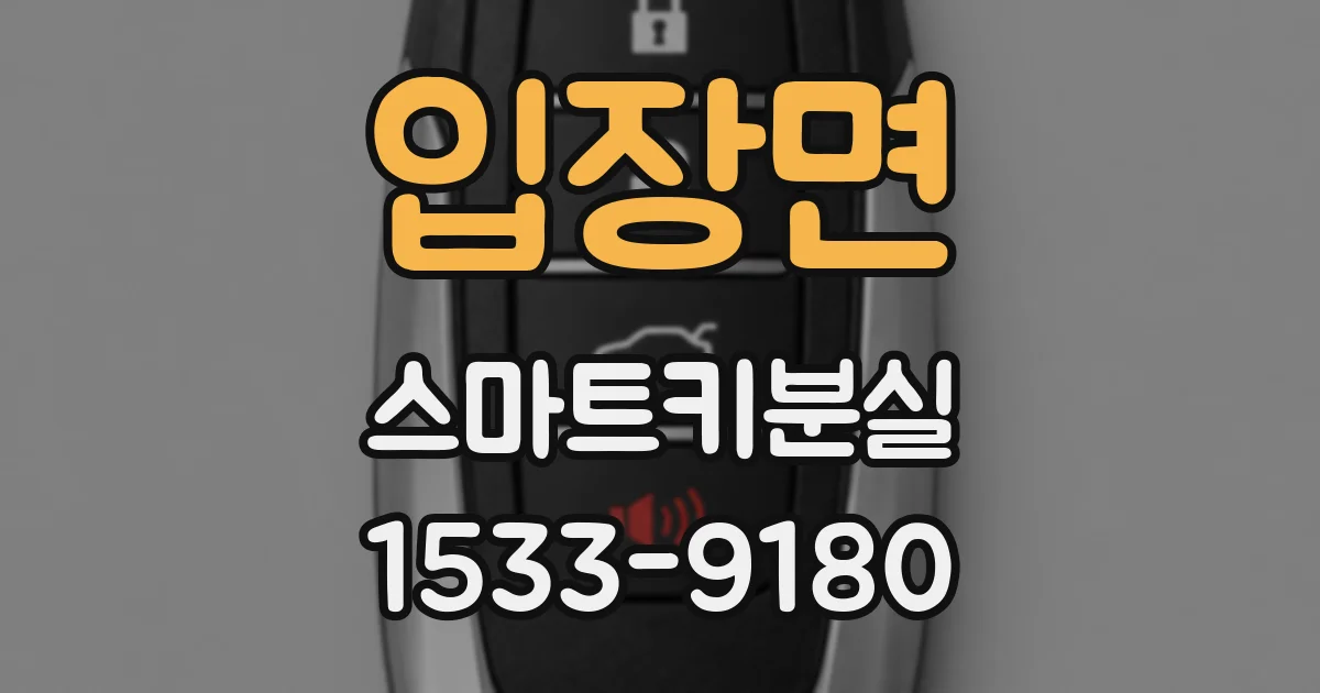 입장면 스마트키분실