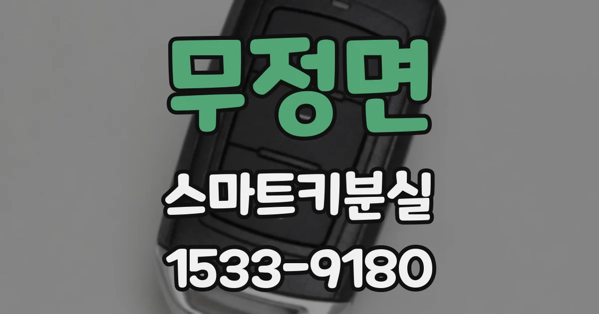 무정면 스마트키분실