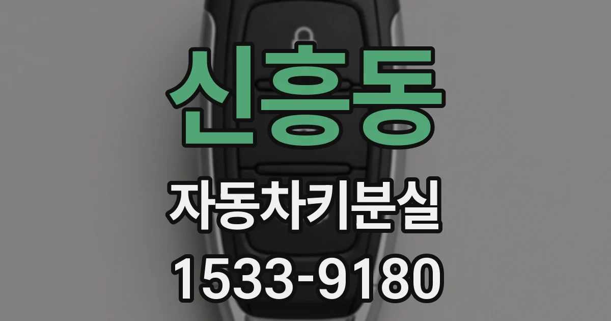 신흥동 자동차키분실