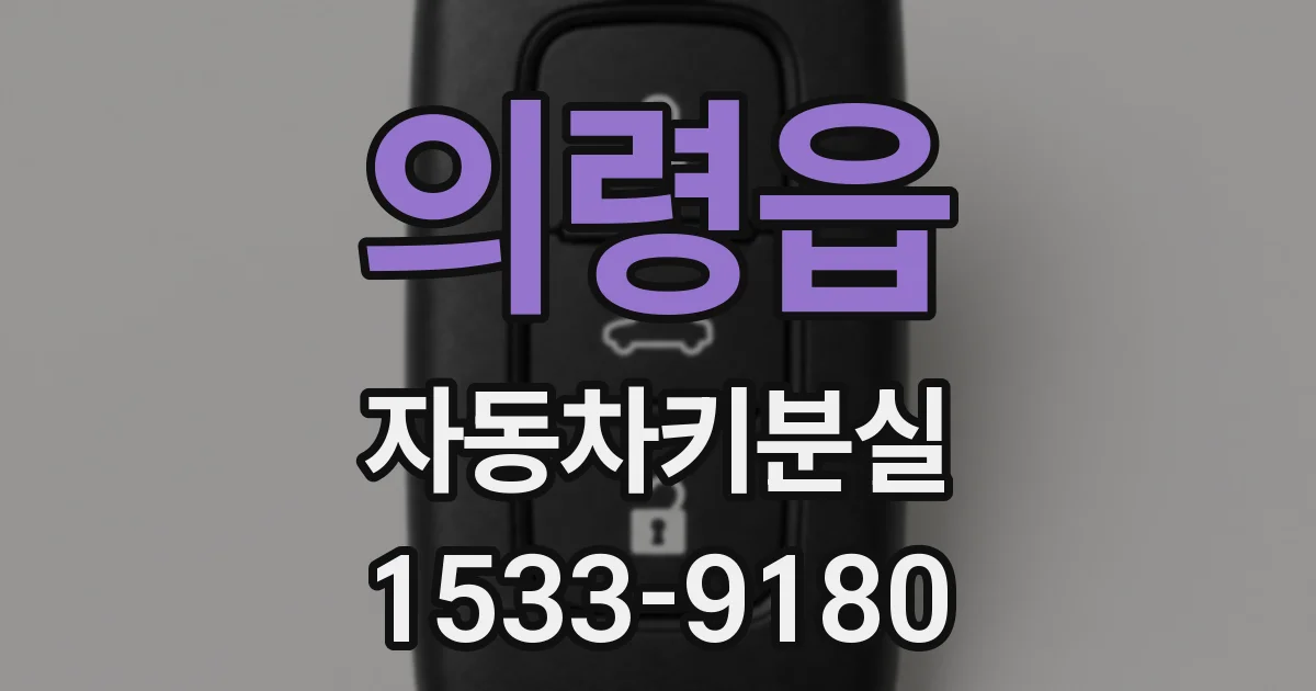 의령읍 자동차키분실