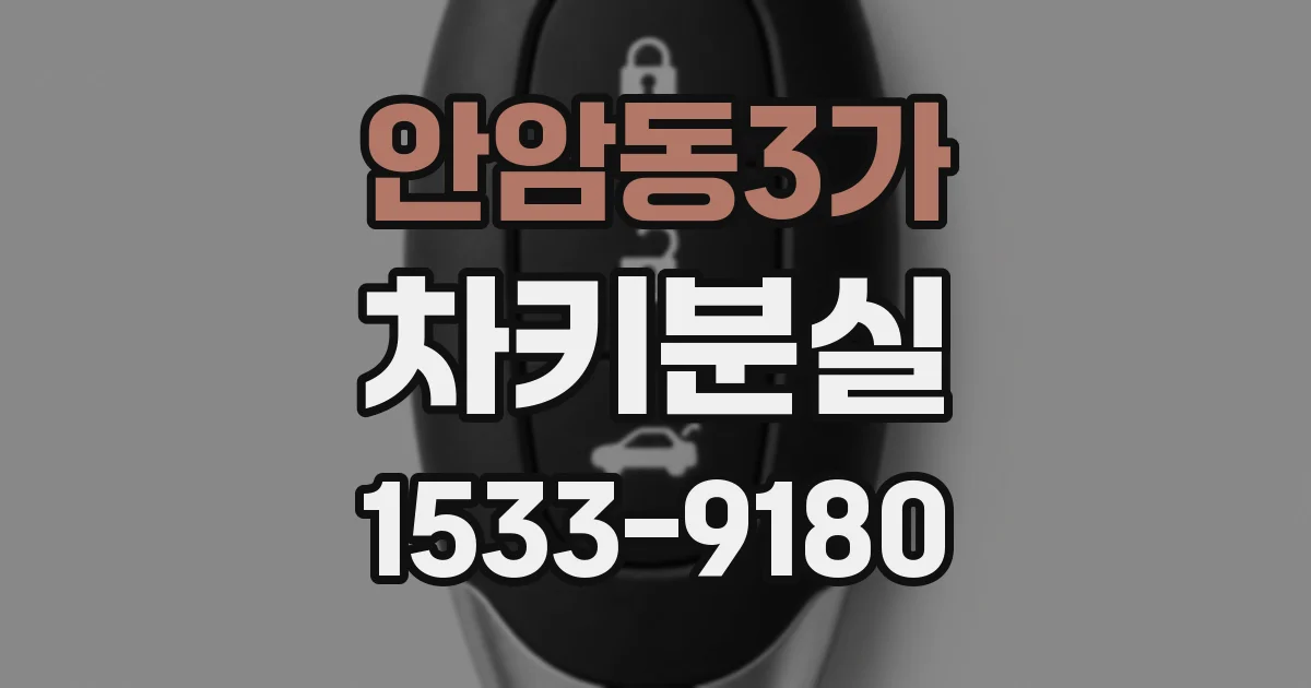 안암동3가 차키분실