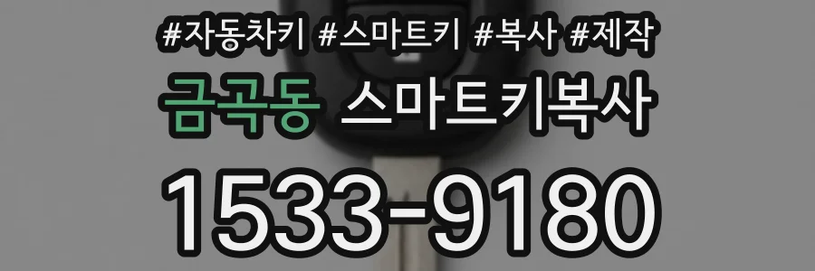 금곡동 스마트키복사