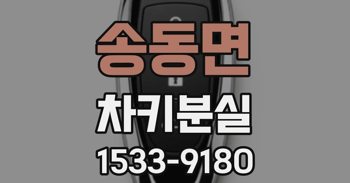 송동면 차키분실