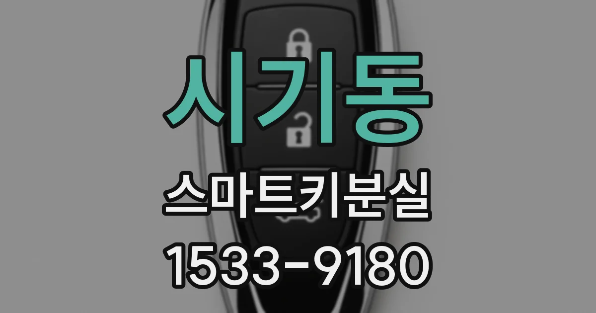 시기동 스마트키분실