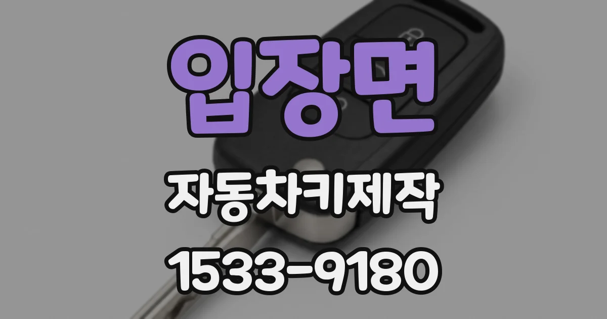 입장면 자동차키제작