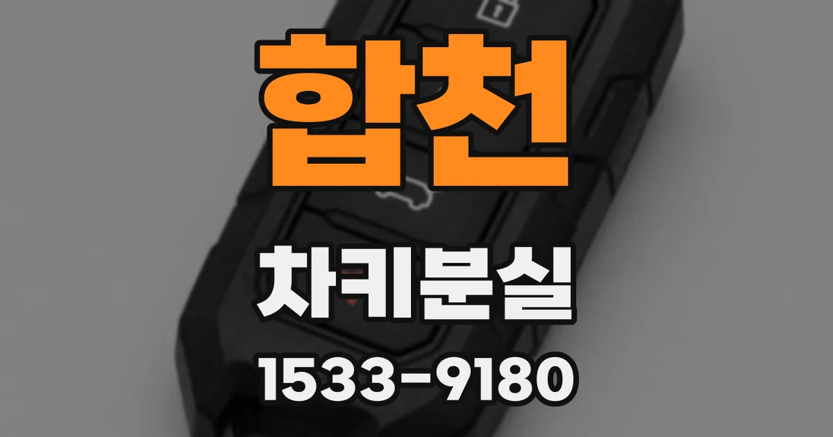 합천 차키분실