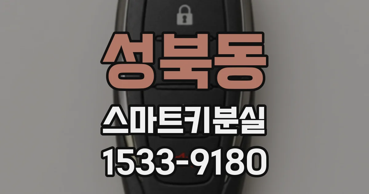 성북동 스마트키분실