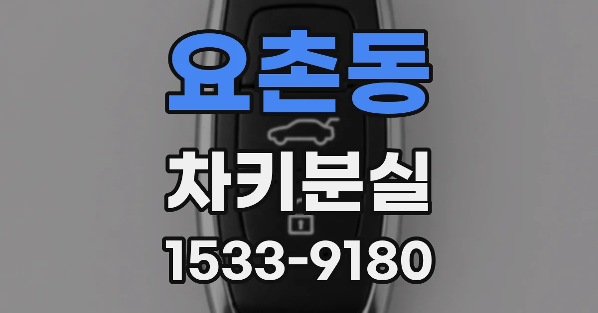 요촌동 차키분실