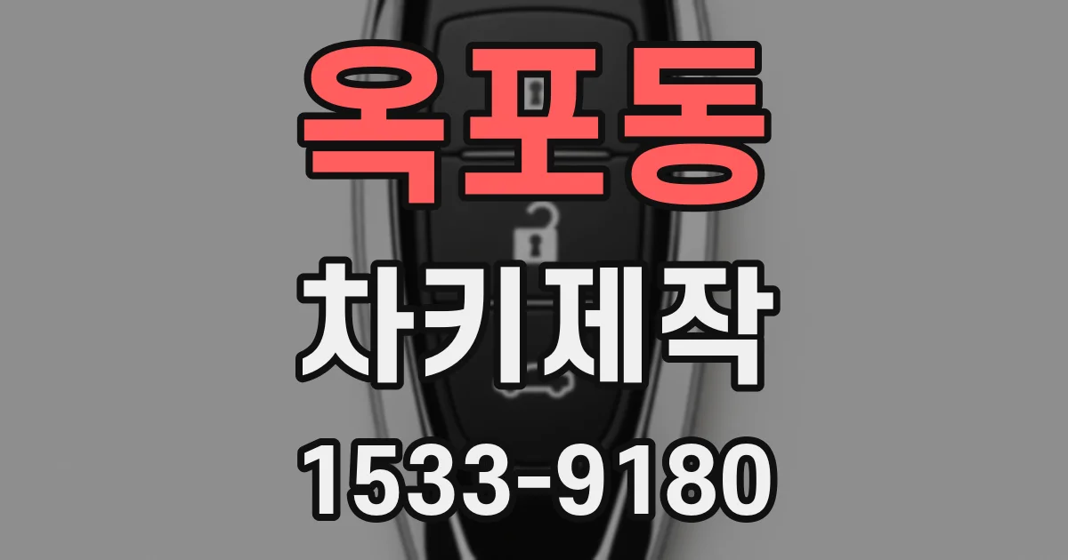 옥포동 차키제작
