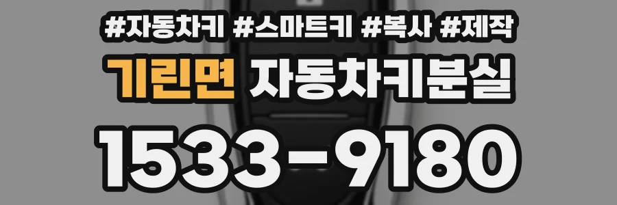 기린면 자동차키분실