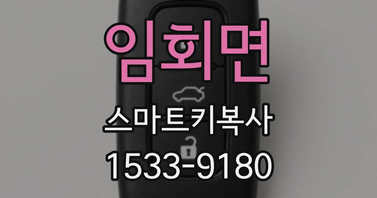 임회면 스마트키복사