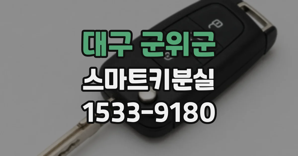 대구 군위군 스마트키분실
