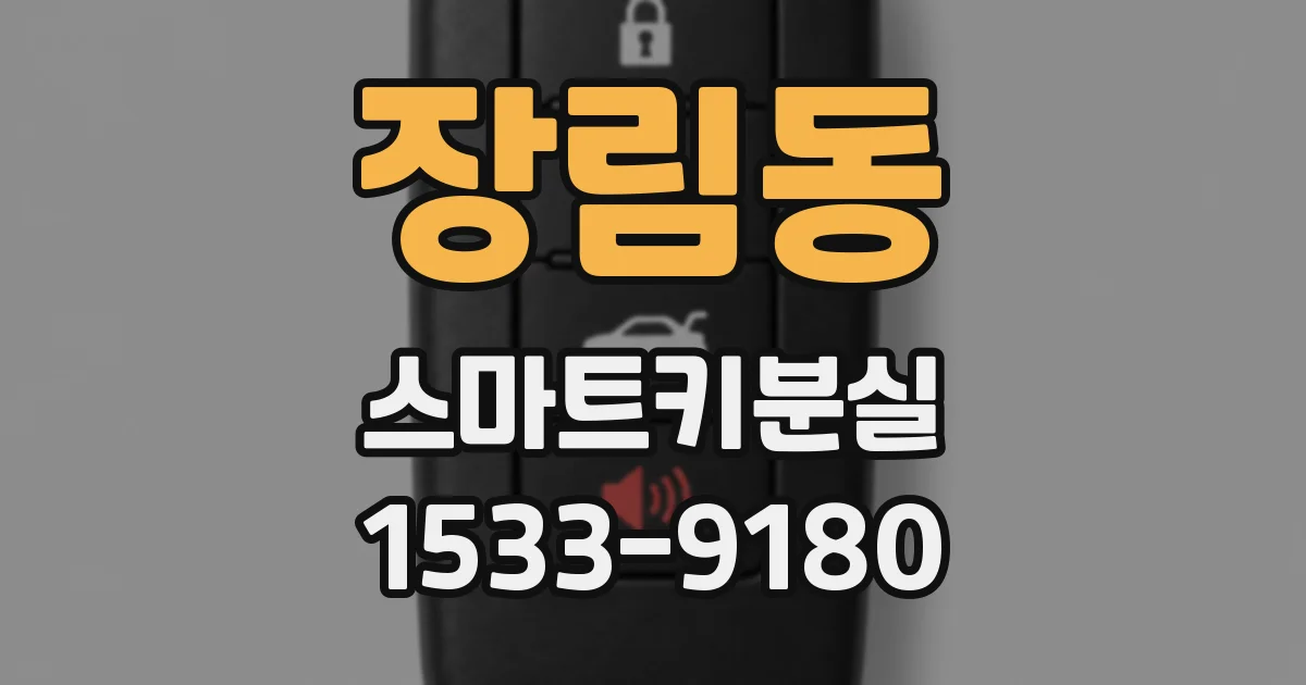 장림동 스마트키분실