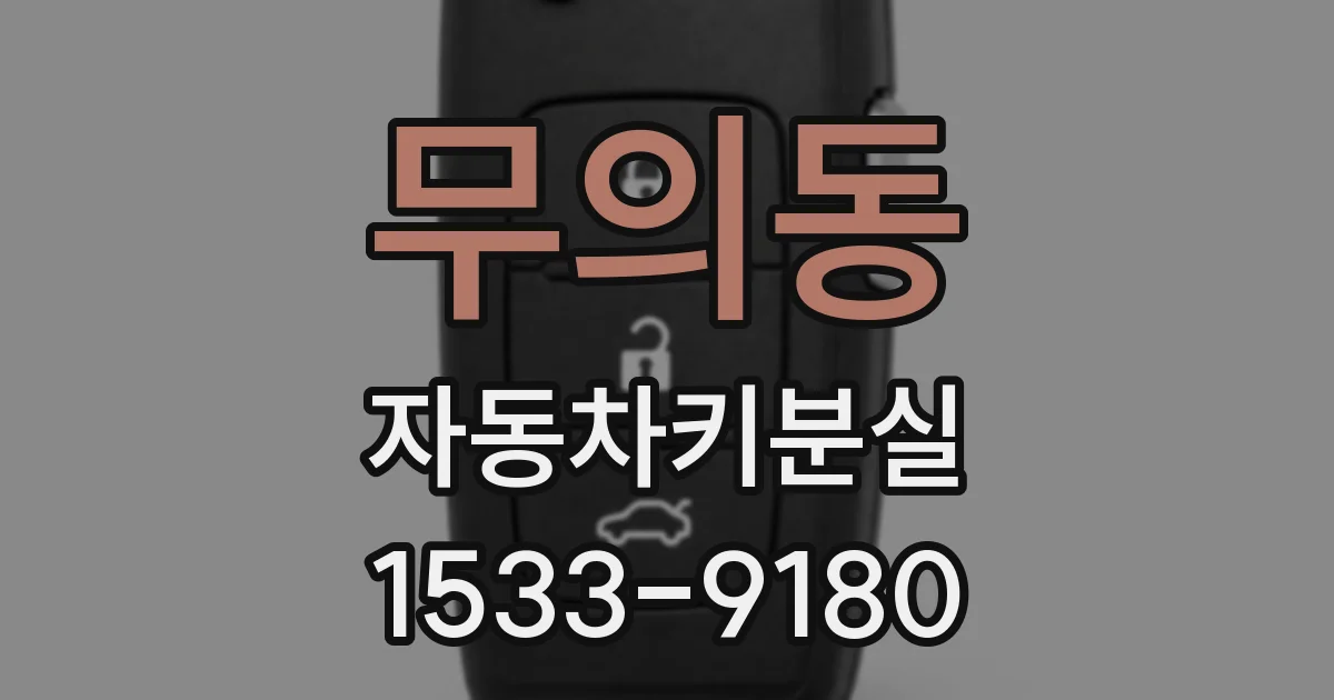 무의동 자동차키분실