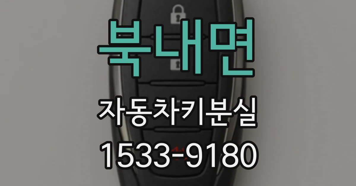 북내면 자동차키분실